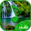 Relaxing Nature - Forest Sounds icon