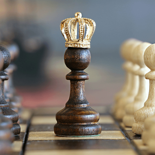 Chess Master - Ultimate guide app icon