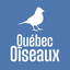 Magazine QuébecOiseaux icon