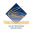 Profmos icon