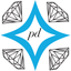 Palak Diam icon