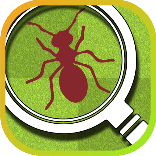Tappy Ants app icon