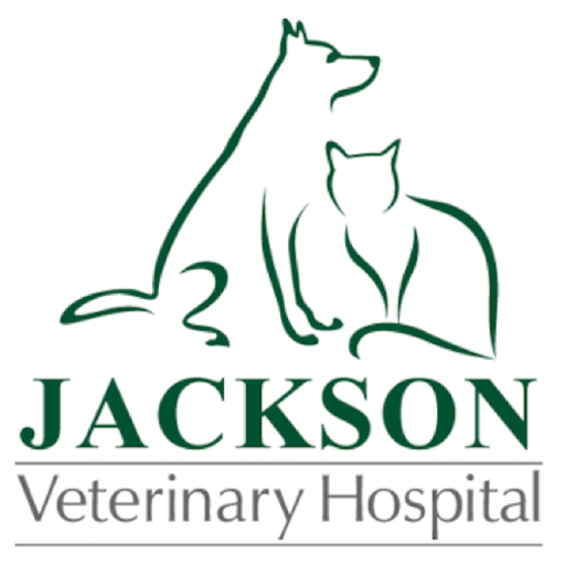 Jackson Vet Hospital app icon