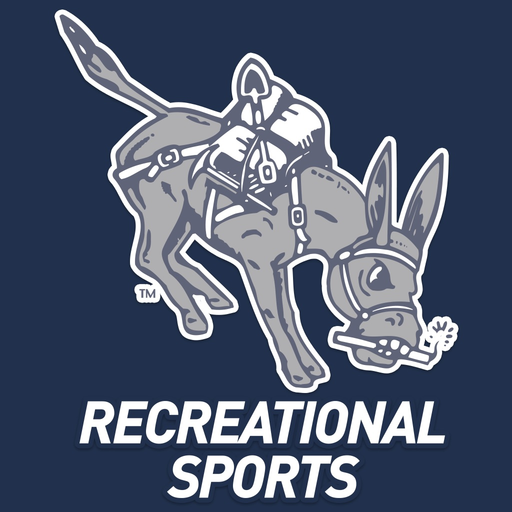 Mines Rec app icon