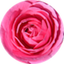MesaMeter icon