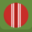 Cricket Practice icon