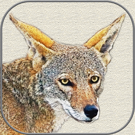 Canvas Art - Photo Filter app icon