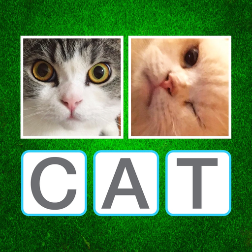 WordTest - ABC Alphabet Words app icon