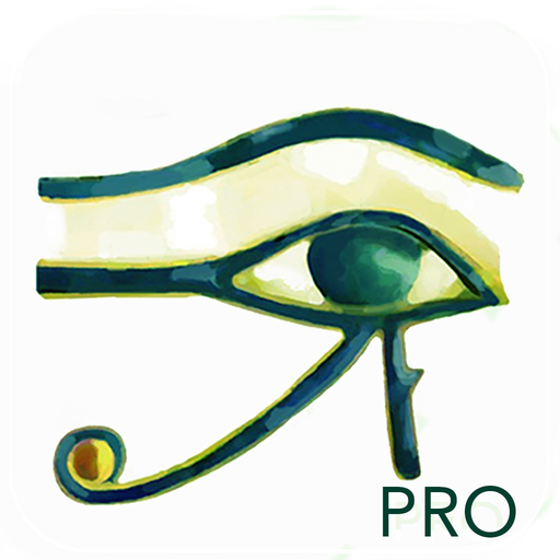 Horus Condition Report Pro app icon