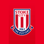 Stoke City FC icon