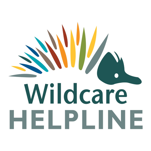 Wildcare Helpline app icon