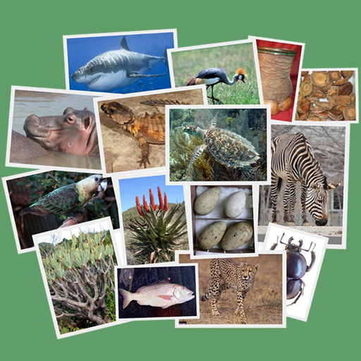 IDentifyIt Species app icon
