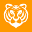 Tiger Player icon