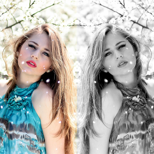 Photo Mirror Effects Filter app icon