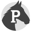 POSSE Mobile Inspect icon