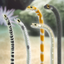 Garden Eel Pet icon
