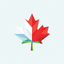 Canadian Citizenship Test Pro+ icon