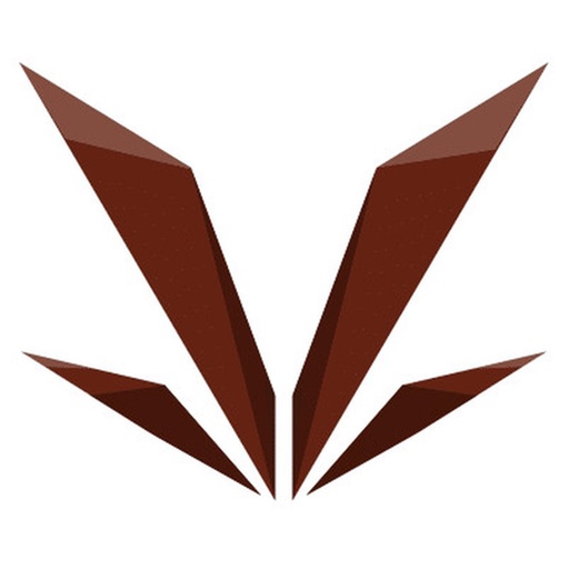 Vel's Vidhyalaya Kovilpatti app icon