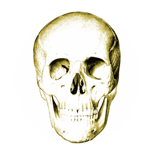 Anatomy Quiz Lite app icon