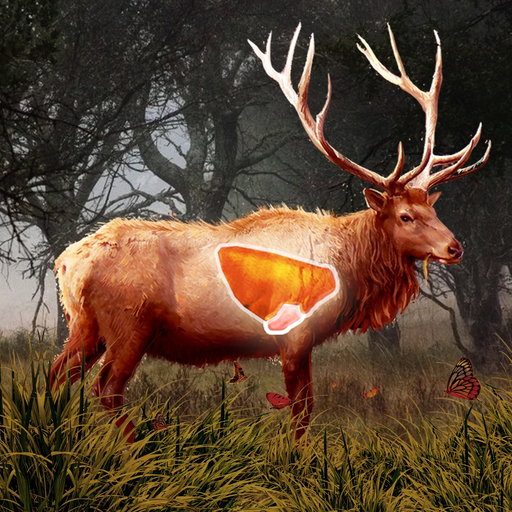 Deer Target Shooting : Pro app icon