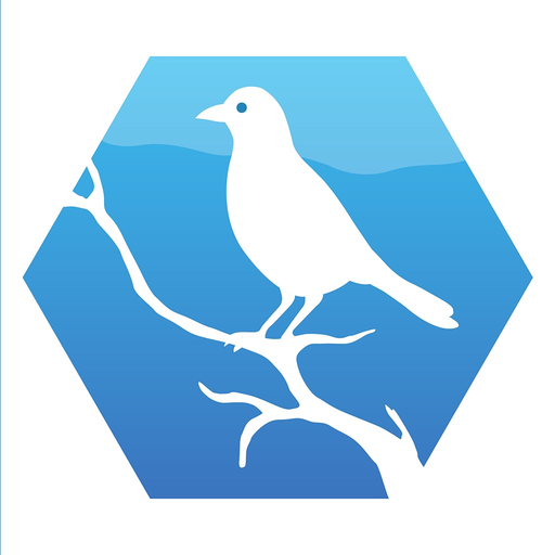 Fugler i nærmiljøet app icon