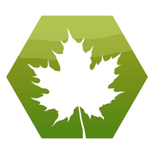 Treslag - på tur i skogen app icon