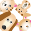 PetsAge icon