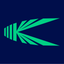 Kinology icon