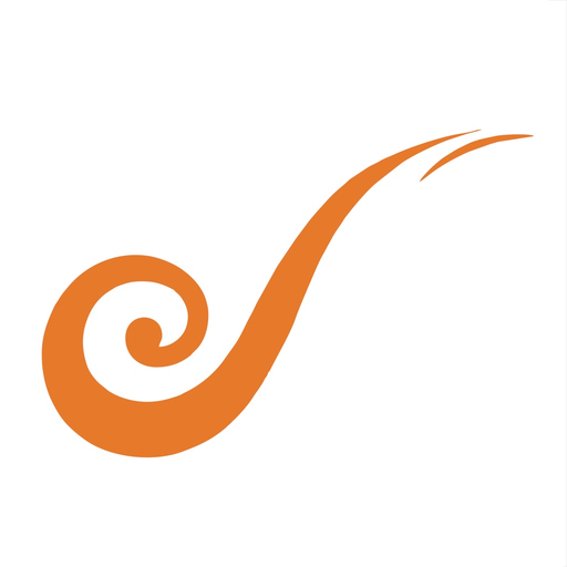 DrukRide app icon