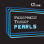 CTisus Pancreatic Tumor Pearls icon