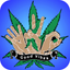 WeedTV icon