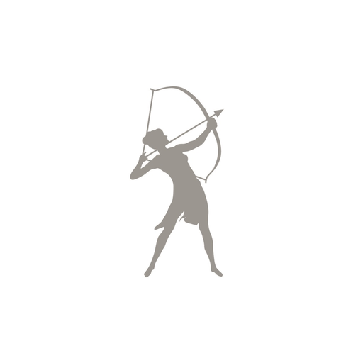 Artemis Steuerberater app icon