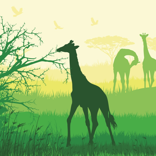 Backyard Safari app icon