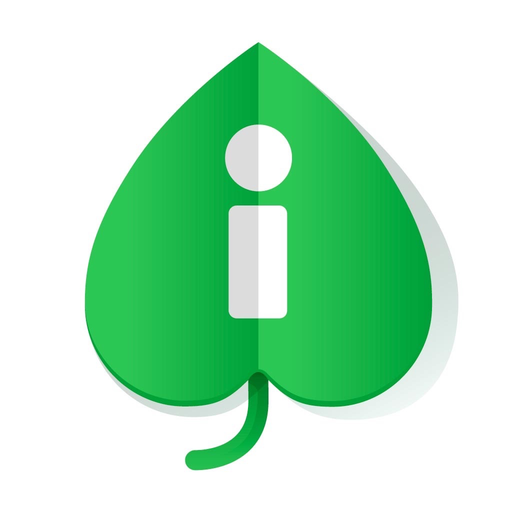 Amigo Invesa app icon