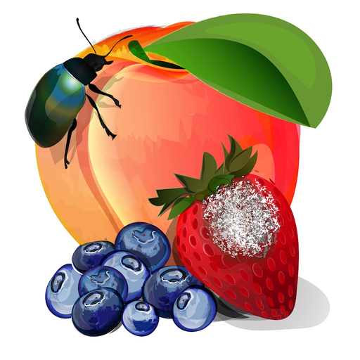 MyIPM app icon