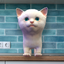 Cattery icon