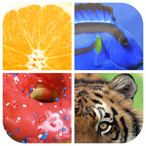 Close Up - whats is picture app icon