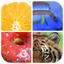 Close Up - whats is picture icon