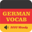 German Vocabulary icon