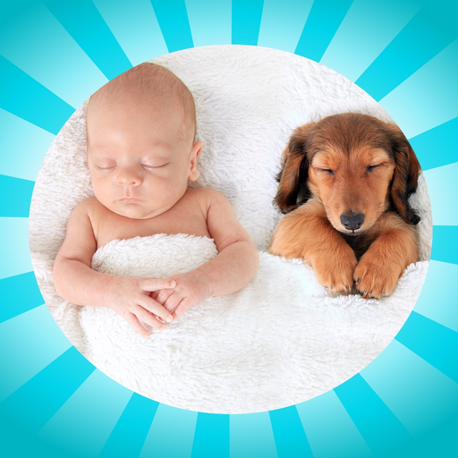 Baby Animal Wheel app icon