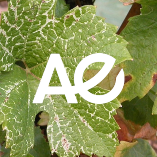 Vigi-Alsace app icon
