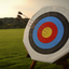 Archery Targets Super Hit icon