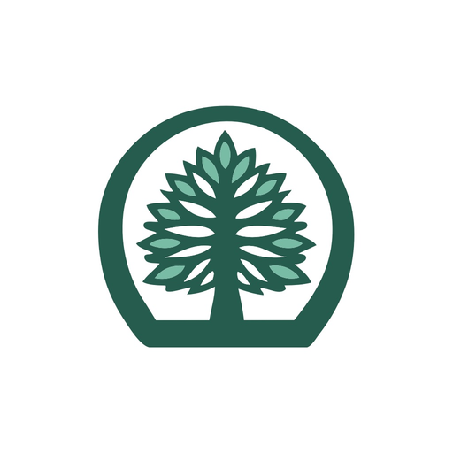 BOC Go app icon