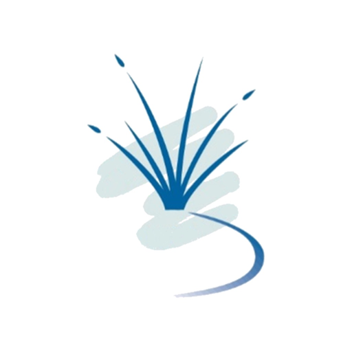 Living Springs app icon