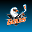 San Diego Gulls Hockey icon