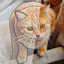 Tracing Paper Draw & Paint icon