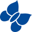 Intima icon