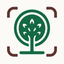 Forest Tree Identifier icon