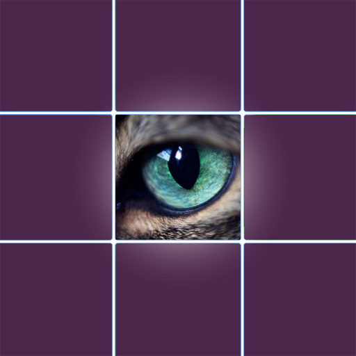 Eyes Test Animals app icon