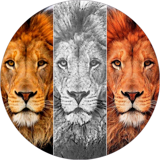 Sketch n Cartoonize app icon